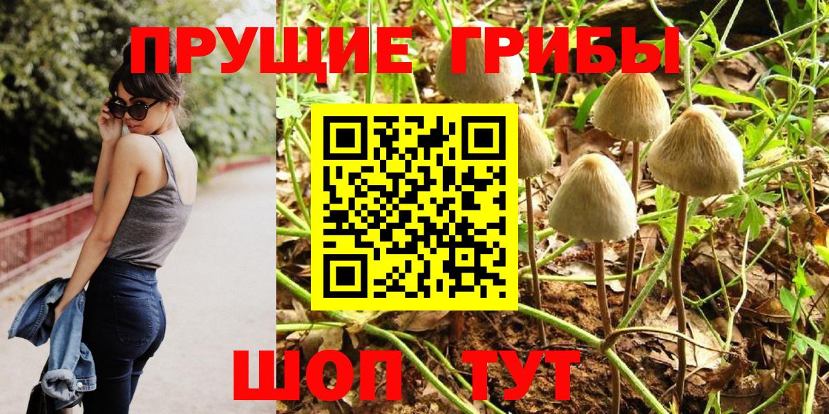 Псилоцибиновые грибы GOLDEN TEACHER Нижнеудинск